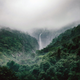 India has a long term goal of having 33% of its geographical area under forest cover.